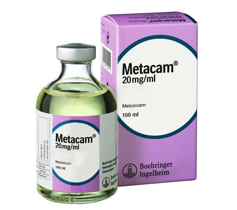 MAS VET 2025 - Metacam 250 ml